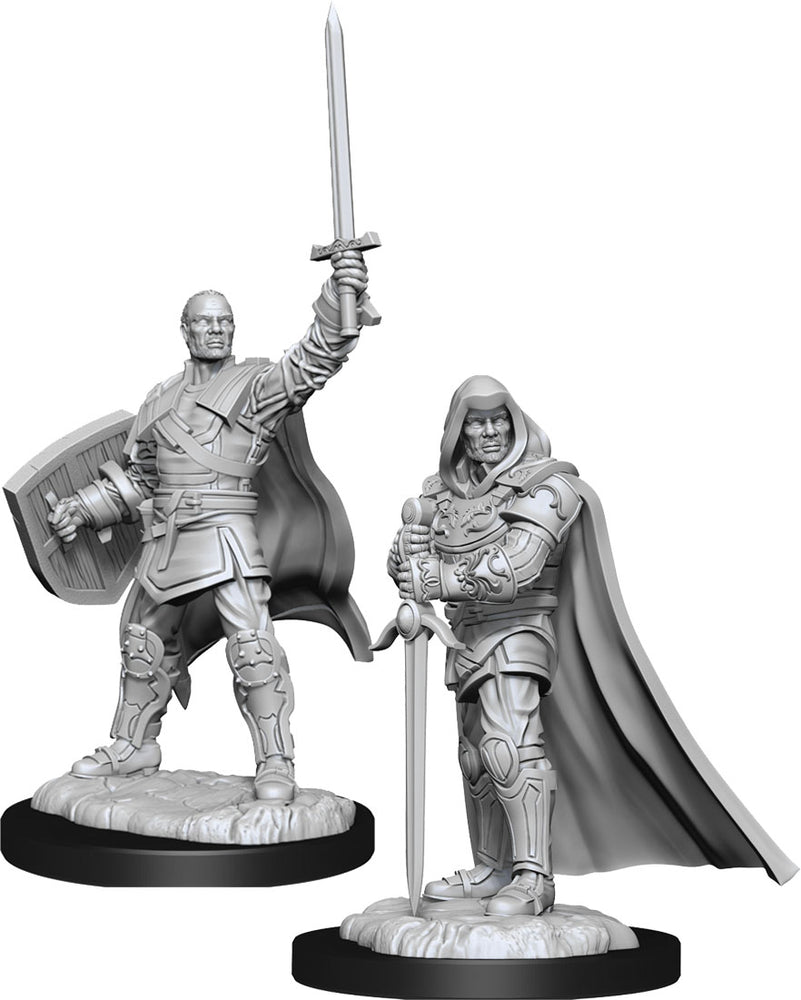 Dungeons & Dragons Nolzur`s Marvelous Unpainted Miniatures: Human Paladin Male