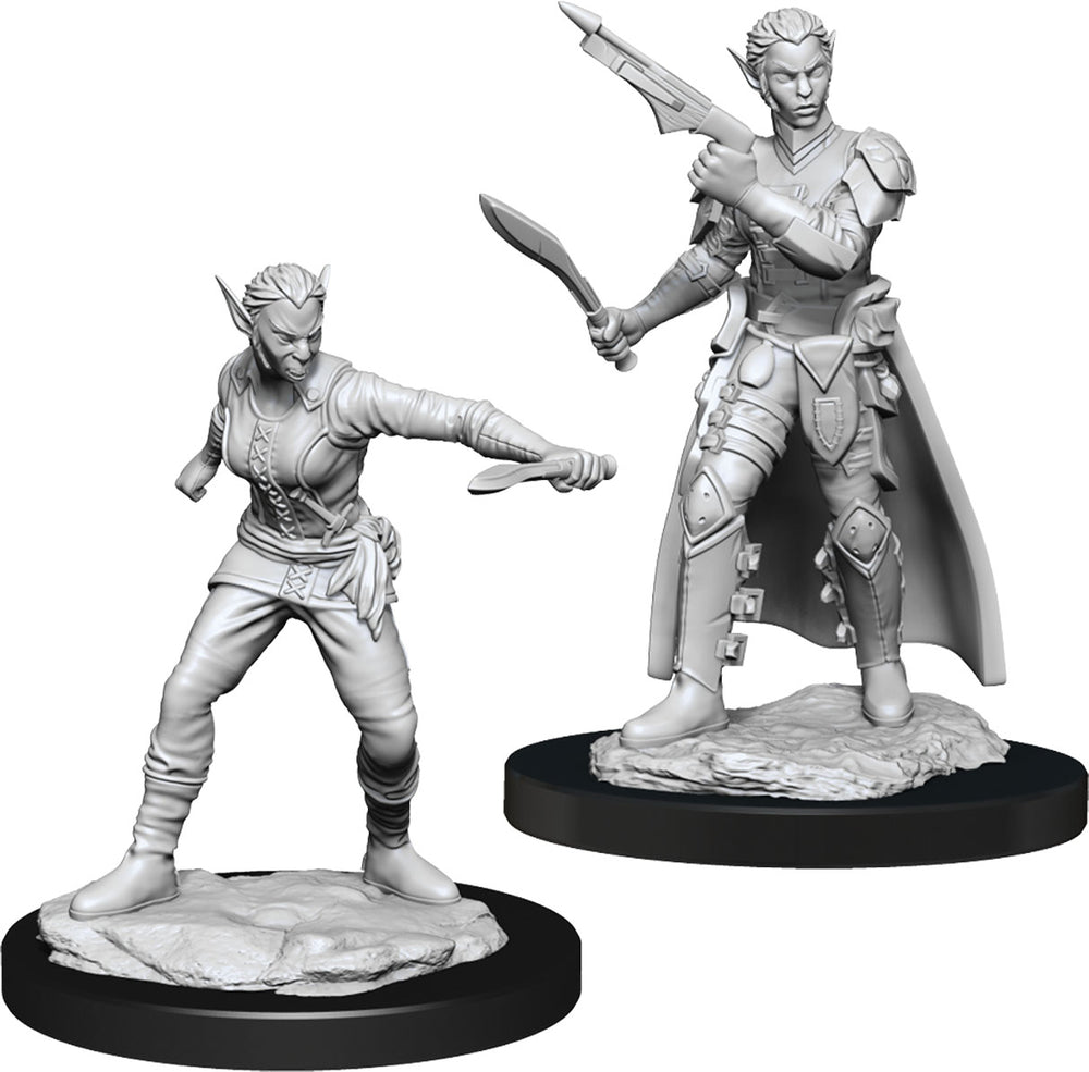Dungeons & Dragons Nolzurs Marvelous Unpainted Miniatures: Shifter Rogue Female