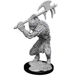 Dungeons & Dragons Nolzurs Marvelous Unpainted Miniatures: W1 Gnolls