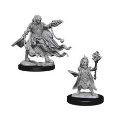 Pathfinder Deep Cuts Unpainted Miniatures: W2 Evil Wizards