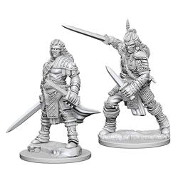 Pathfinder Deep Cuts Unpainted Miniatures: W1 Human Male Fighter