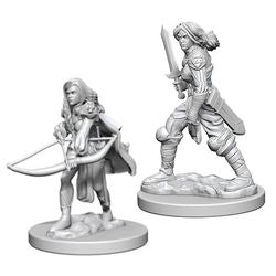 Pathfinder Deep Cuts Unpainted Miniatures: W1 Human Female Fighter