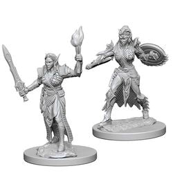 Pathfinder Deep Cuts Unpainted Miniatures: W1 Elf Female Fighter
