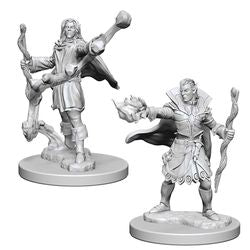 Pathfinder Deep Cuts Unpainted Miniatures: W1 Elf Male Sorcerer