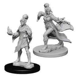Pathfinder Deep Cuts Unpainted Miniatures: W1 Elf Female Sorcerer