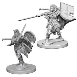 Pathfinder Deep Cuts Unpainted Miniatures: W1 Human Female Paladin