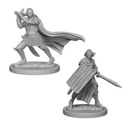 Pathfinder Deep Cuts Unpainted Miniatures: W2 Elf Male Paladin