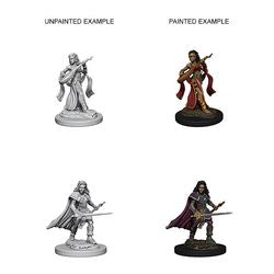 Pathfinder Deep Cuts Unpainted Miniatures: W4 Human Female Bard