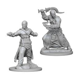 Pathfinder Deep Cuts Unpainted Miniatures: W1 Human Male Monk