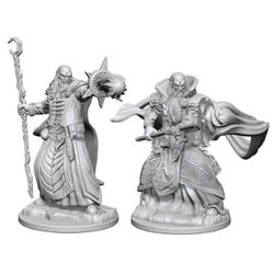 Dungeons & Dragons Nolzurs Marvelous Unpainted Miniatures: W1 Human Male Wizard