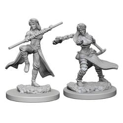 Dungeons & Dragons Nolzurs Marvelous Unpainted Miniatures: W1 Human Female Monk