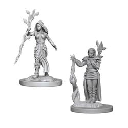 Dungeons & Dragons Nolzurs Marvelous Unpainted Miniatures: W2 Human Female Druid