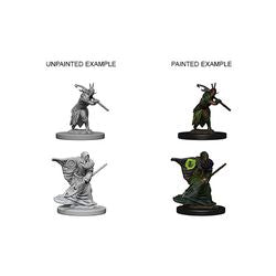 Dungeons & Dragons Nolzurs Marvelous Unpainted Miniatures: W4 Elf Male Druid