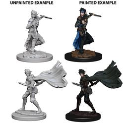 Pathfinder Deep Cuts Unpainted Miniatures: W4 Elf Female Rogue