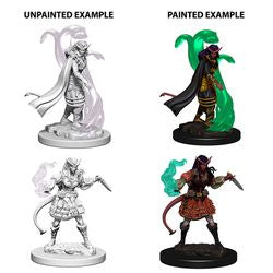 Dungeons & Dragons Nolzurs Marvelous Unpainted Miniatures: W4 Tiefling Female Sorcerer