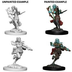 Dungeons & Dragons Nolzurs Marvelous Unpainted Miniatures: W4 Air Genasi Female Rogue