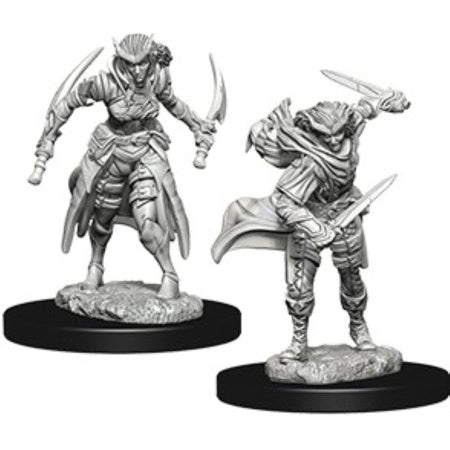 Dungeons & Dragons Nolzurs Marvelous Unpainted Miniatures: W7 Tiefling Female Rogue
