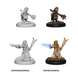 Dungeons & Dragons Nolzurs Marvelous Unpainted Miniatures: W6 Female Gnome Wizard
