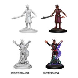 Dungeons & Dragons Nolzurs Marvelous Unpainted Miniatures: W6 Male Tiefling Warlock