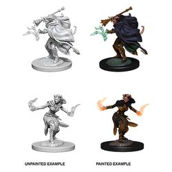 Dungeons & Dragons Nolzurs Marvelous Unpainted Miniatures: W6 Female Tiefling Warlock