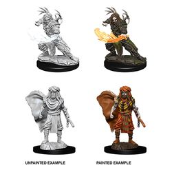 Dungeons & Dragons Nolzurs Marvelous Unpainted Miniatures: W6 Male Human Druid