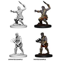 Dungeons & Dragons Nolzurs Marvelous Unpainted Miniatures: W6 Nameless One