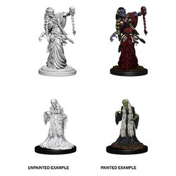 Dungeons & Dragons Nolzurs Marvelous Unpainted Miniatures: W6 Green Hag & Night Hag