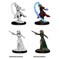 Pathfinder Deep Cuts Unpainted Miniatures: W6 Female Human Wizard