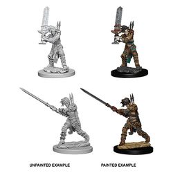 Pathfinder Deep Cuts Unpainted Miniatures: W6 Human Female Barbarian