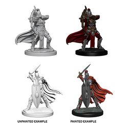 Pathfinder Deep Cuts Unpainted Miniatures: W6 Female Knights / Gray Maidens
