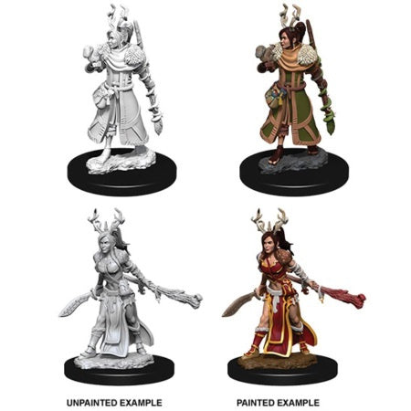 Dungeons & Dragons Nolzurs Marvelous Unpainted Miniatures: W9 Female Human Druid