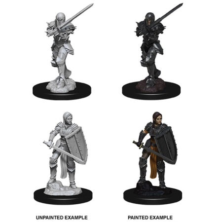 Dungeons & Dragons Nolzurs Marvelous Unpainted Miniatures: W9 Female Human Fighter