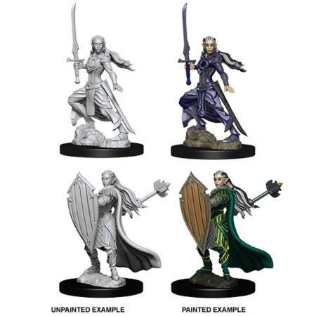 Dungeons & Dragons Nolzurs Marvelous Unpainted Miniatures: W9 Female Elf Paladin