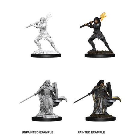 Dungeons & Dragons Nolzurs Marvelous Unpainted Miniatures: W10 Female Human Paladin