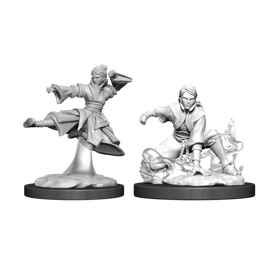 Dungeons & Dragons Nolzurs Marvelous Unpainted Miniatures: W11 Female Human Monk
