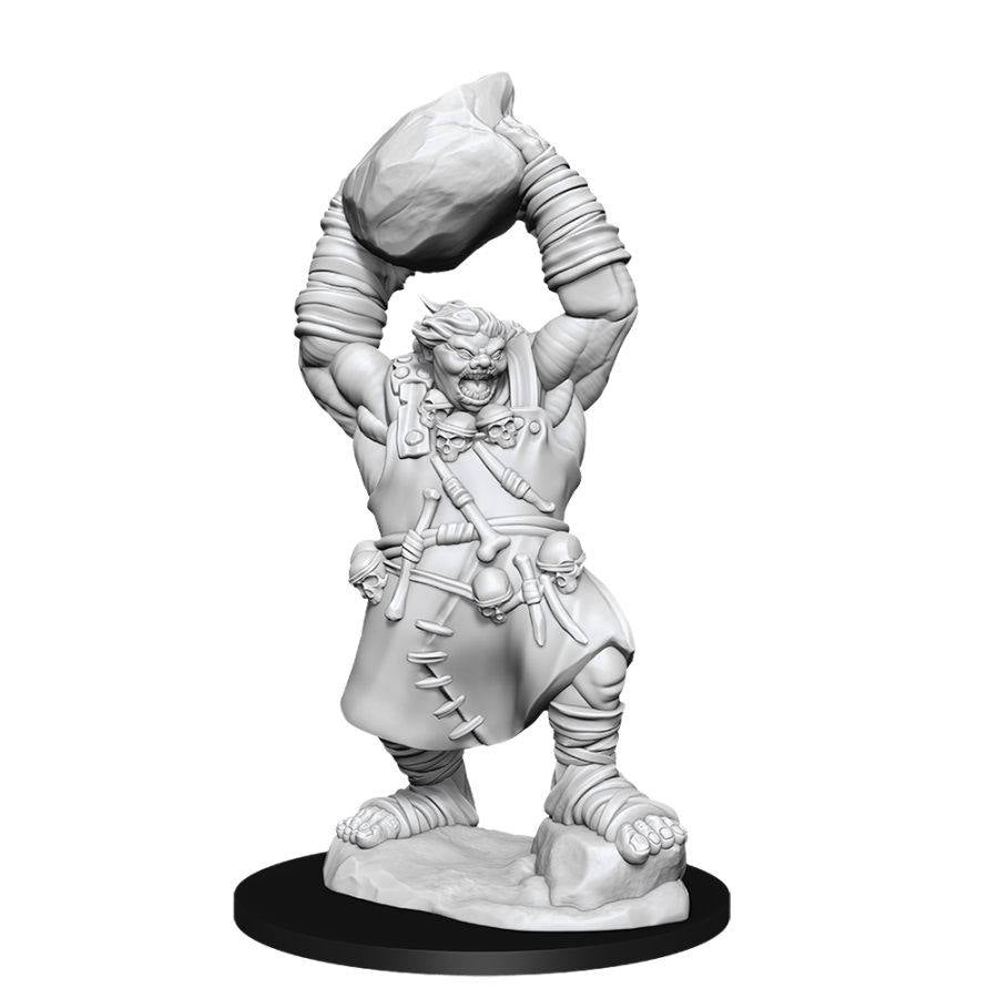 Pathfinder Deep Cuts Unpainted Miniatures: W11 Ogre